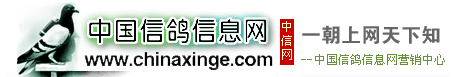 ЇϢW(wng)
