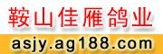 㑴܎
