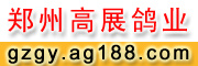 W(wng)չd