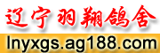 ӱ¶zN