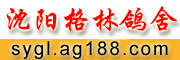 ꖸ